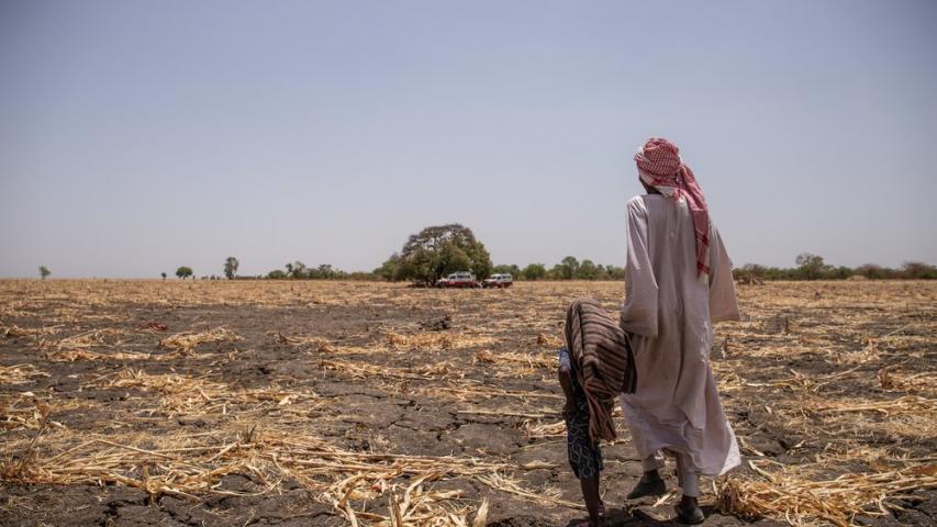 Msf268967 Year In Pictures 2019 Chad